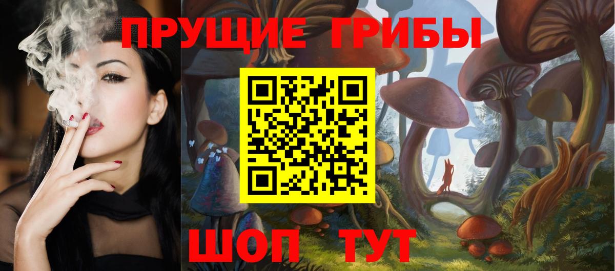 Псилоцибиновые грибы GOLDEN TEACHER  Вход с VPN  что такое   Джанкой 
